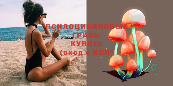 герыч Алексин