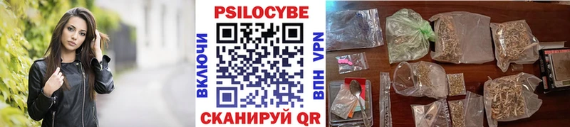 Галлюциногенные грибы MAGIC MUSHROOMS  купить наркоту  Новозыбков 