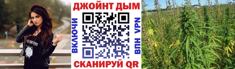 KRAKEN зеркало  цены   Новозыбков  Марихуана ГИДРОПОН 
